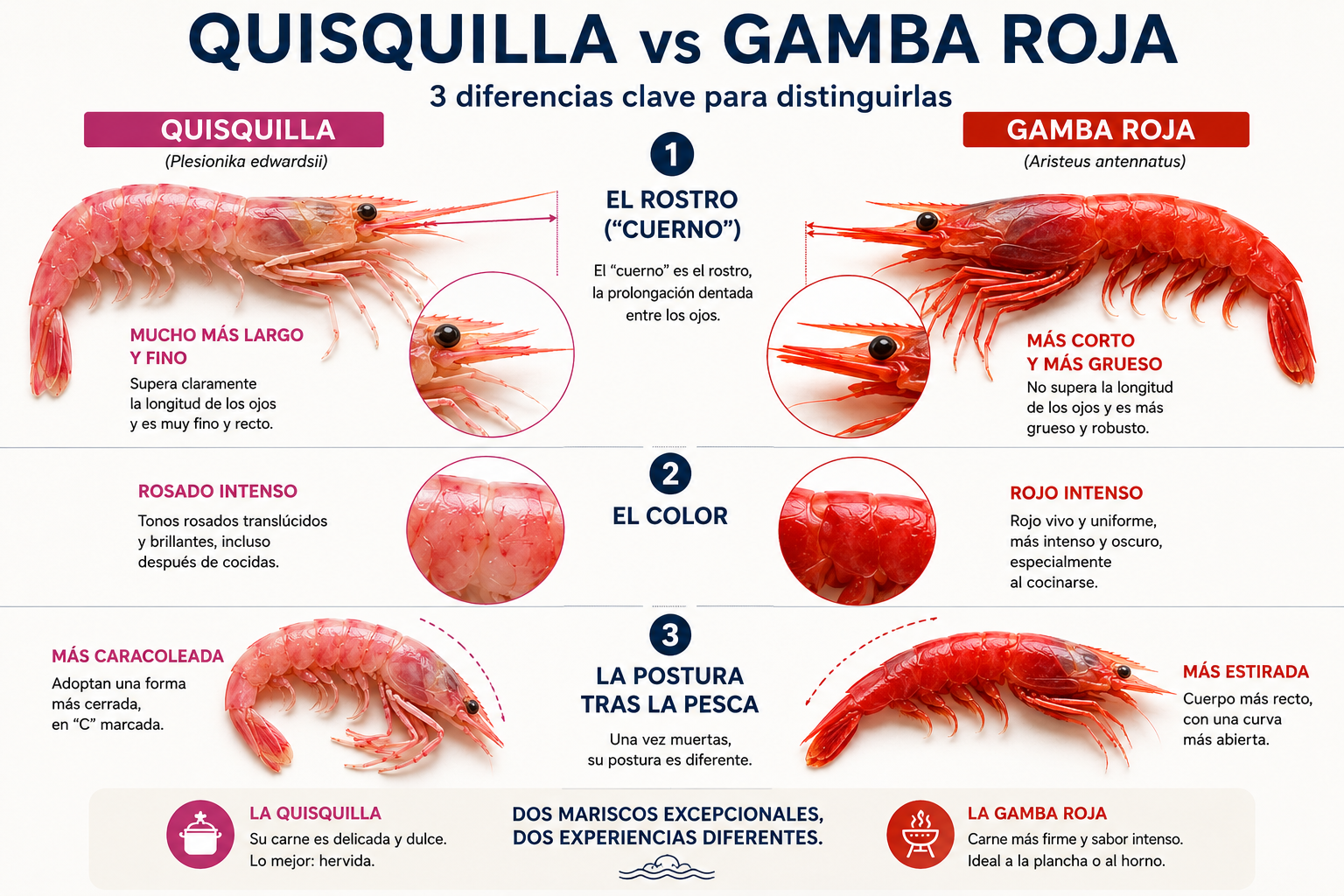 QUISQUILLA O GAMBA ROJA : DOS MARISCOS QUE SUELEN CONFUNDIRSE Y QUE OFRECEN EXPERIENCIAS MUY DISTINTAS